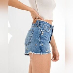 American Eagle Floral Dainty Embroidered Denim Shorts